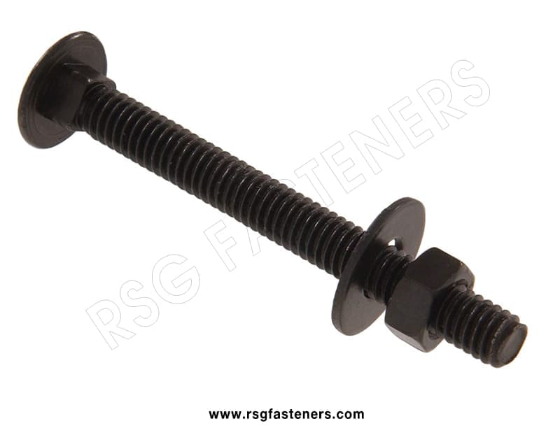 carriage bolts2