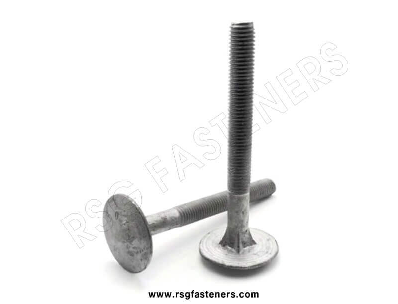 timber bolts3