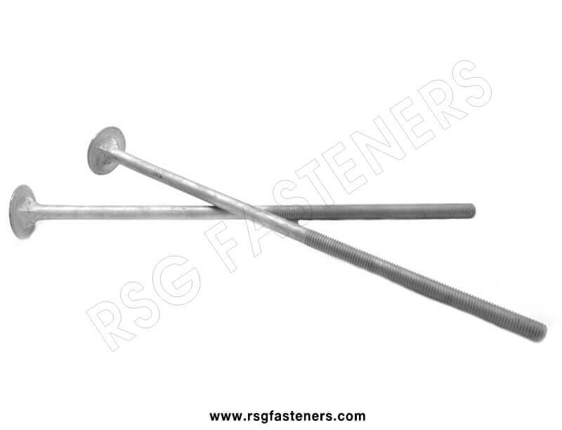 timber bolts7